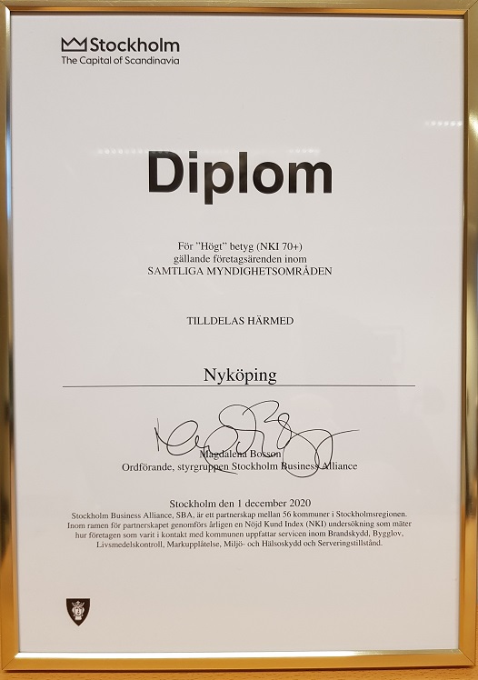 diplom i guldram