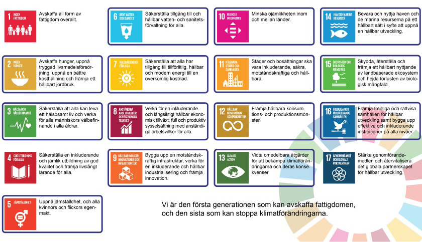 03 -prioriterade globala m&aring;l.jpg