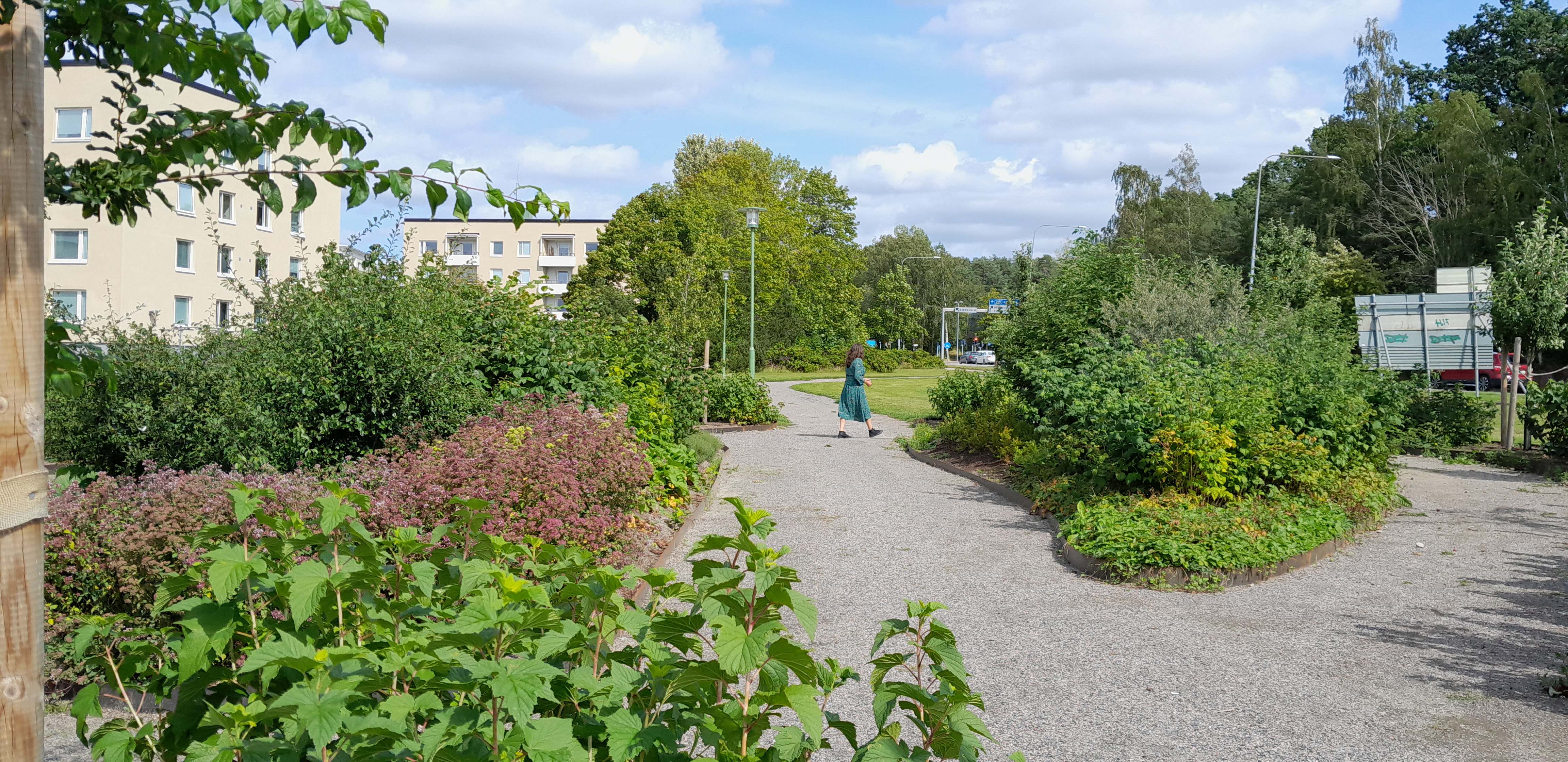grusg&aring;ng och vy &ouml;ver T&auml;ppan