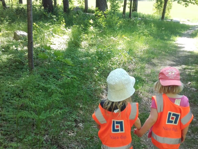 skogen.jpg
